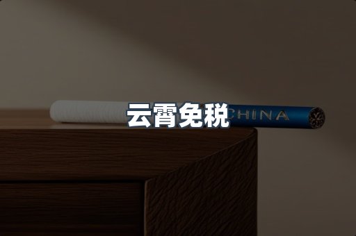 云霄免税